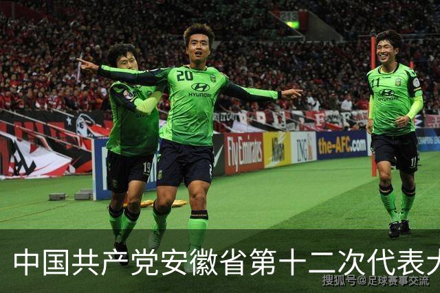 中国共产党安徽省第十二次代表大会胜利闭幕