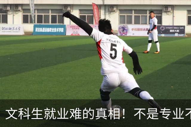 文科生就业难的真相！不是专业不行，是大学四年全都走错了