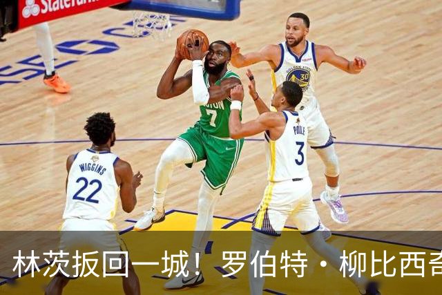 林茨扳回一城！罗伯特·柳比西奇破门