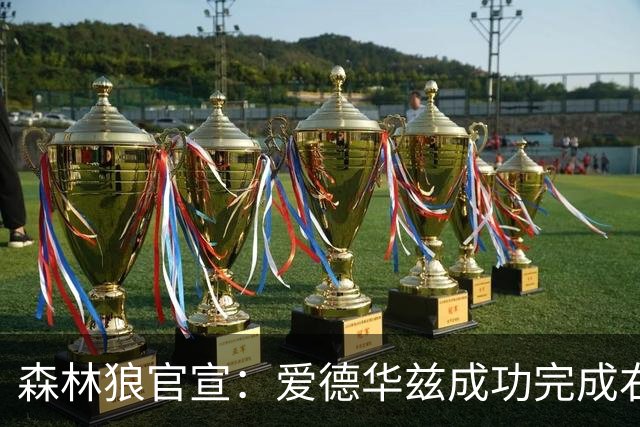 森林狼官宣：爱德华兹成功完成右膝关节镜清创手术 预计缺席两月