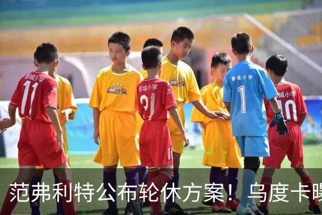 范弗利特公布轮休方案！乌度卡曝10人主力！回来了，都回来了