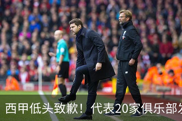西甲低头致歉！代表20家俱乐部发声，特巴斯承诺建立沟通规范