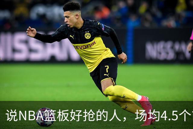 说NBA篮板好抢的人，场均4.5个前板排第4