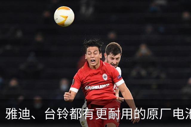 雅迪、台铃都有更耐用的原厂电池，为什么修车铺只换天能、超威？